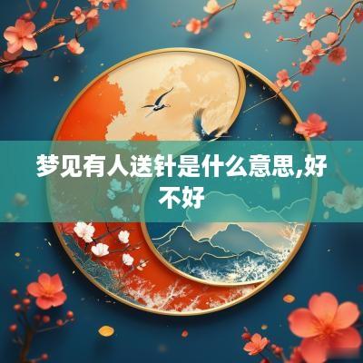 梦见有人送针是什么意思,好不好