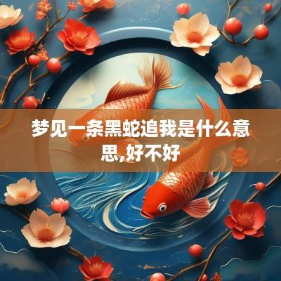 梦见一条黑蛇追我是什么意思,好不好