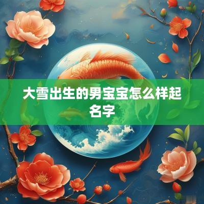 大雪出生的男宝宝怎么样起名字