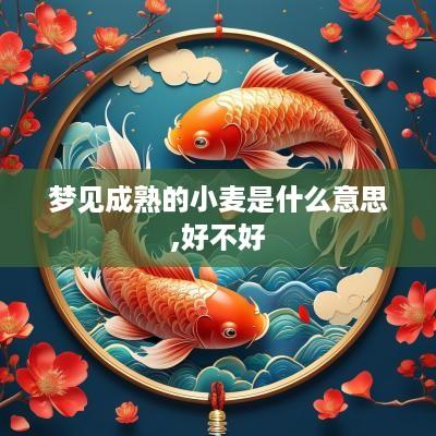 梦见成熟的小麦是什么意思,好不好