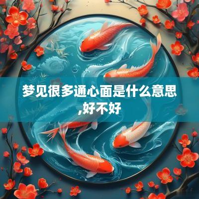梦见很多通心面是什么意思,好不好