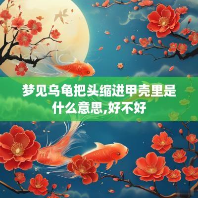梦见乌龟把头缩进甲壳里是什么意思,好不好