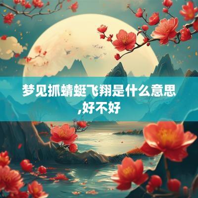 梦见抓蜻蜓飞翔是什么意思,好不好