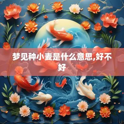 梦见种小麦是什么意思,好不好