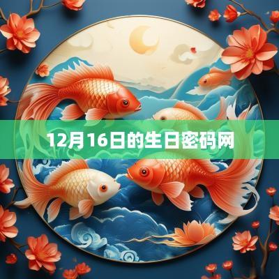 12月16日的生日密码网