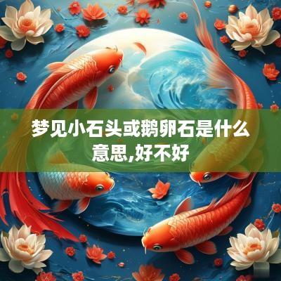 梦见小石头或鹅卵石是什么意思,好不好