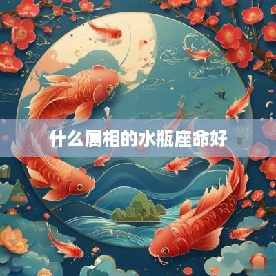 什么属相的水瓶座命好