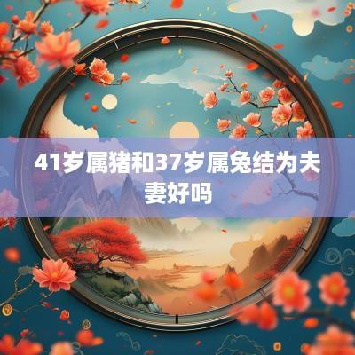 41岁属猪和37岁属兔结为夫妻好吗