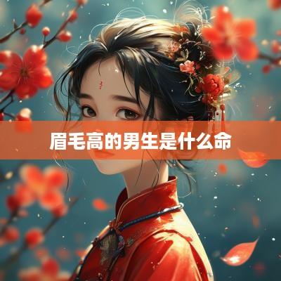 眉毛高的男生是什么命