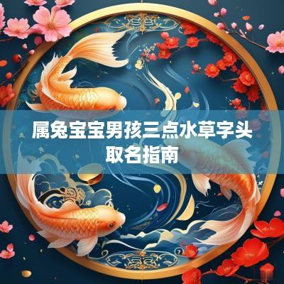 属兔宝宝男孩三点水草字头取名指南
