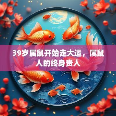 39岁属鼠开始走大运，属鼠人的终身贵人