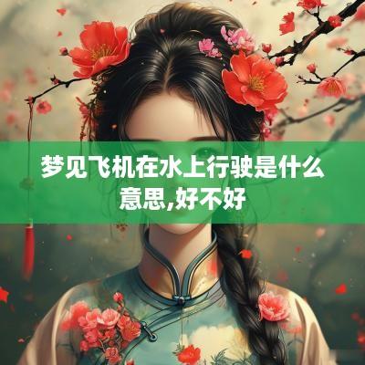 梦见飞机在水上行驶是什么意思,好不好