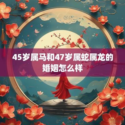 45岁属马和47岁属蛇属龙的婚姻怎么样