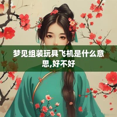 梦见组装玩具飞机是什么意思,好不好