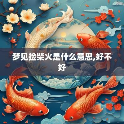 梦见捡柴火是什么意思,好不好