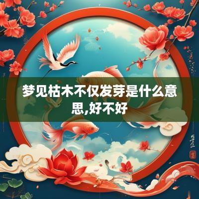 梦见枯木不仅发芽是什么意思,好不好