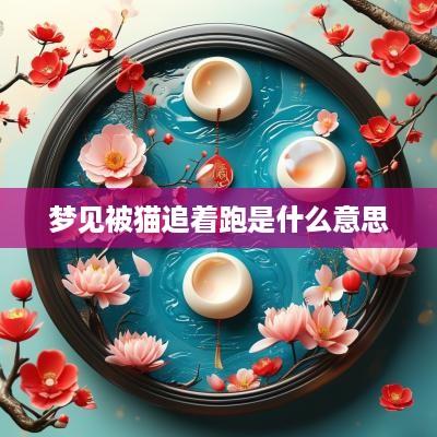 梦见被猫追着跑是什么意思