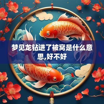 梦见龙钻进了被窝是什么意思,好不好