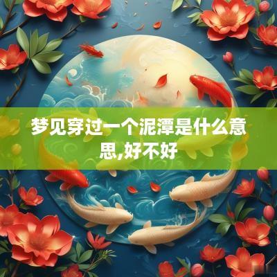 梦见穿过一个泥潭是什么意思,好不好