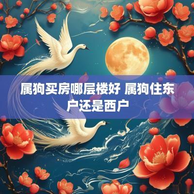 属狗买房哪层楼好 属狗住东户还是西户