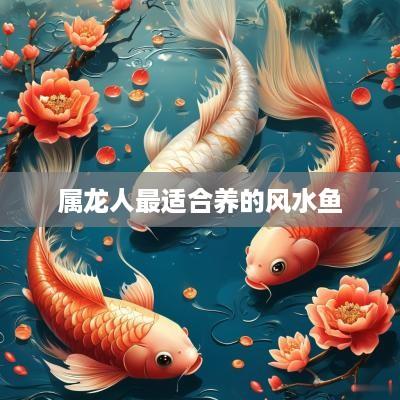 属龙人最适合养的风水鱼