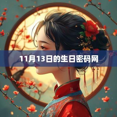 11月13日的生日密码网