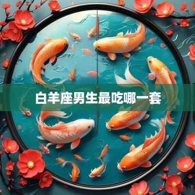 白羊座男生最吃哪一套
