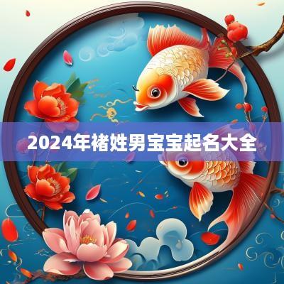 2025年褚姓男宝宝起名大全