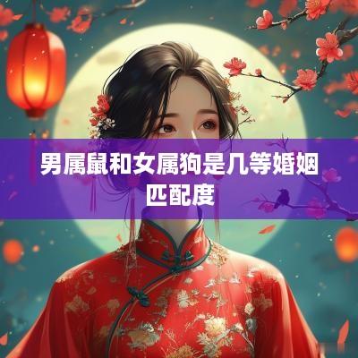 男属鼠和女属狗是几等婚姻匹配度