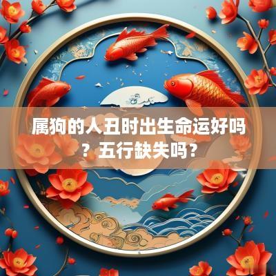 属狗的人丑时出生命运好吗？五行缺失吗？