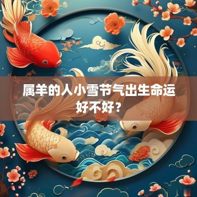 属羊的人小雪节气出生命运好不好？