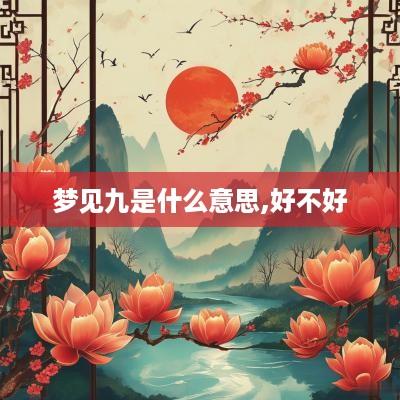 梦见九是什么意思,好不好