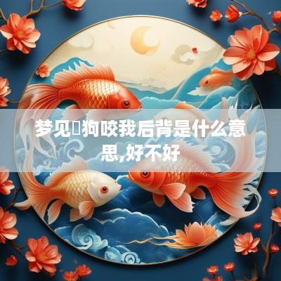 梦见黒狗咬我后背是什么意思,好不好