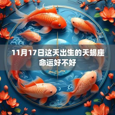 11月17日这天出生的天蝎座命运好不好
