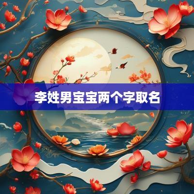 李姓男宝宝两个字取名