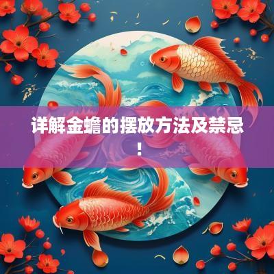 详解金蟾的摆放方法及禁忌！