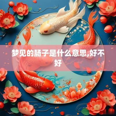 梦见的肠子是什么意思,好不好