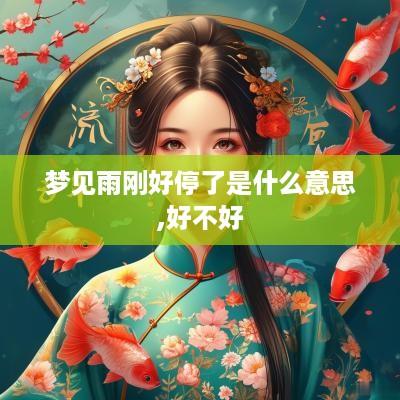 梦见雨刚好停了是什么意思,好不好
