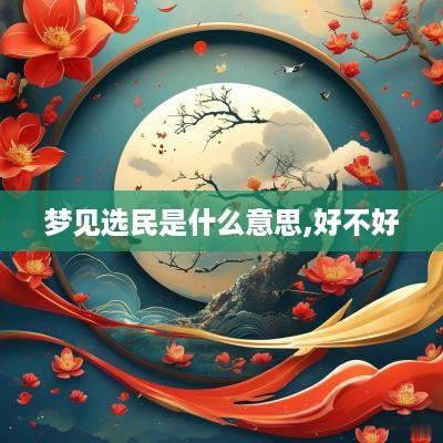 梦见选民是什么意思,好不好