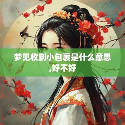 梦见收到小包裹是什么意思,好不好