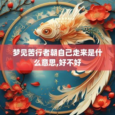 梦见苦行者朝自己走来是什么意思,好不好