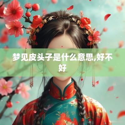 梦见皮头子是什么意思,好不好