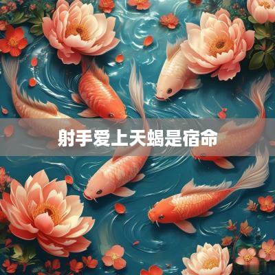 射手爱上天蝎是宿命