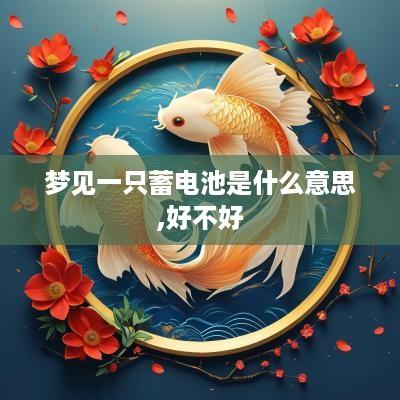 梦见一只蓄电池是什么意思,好不好