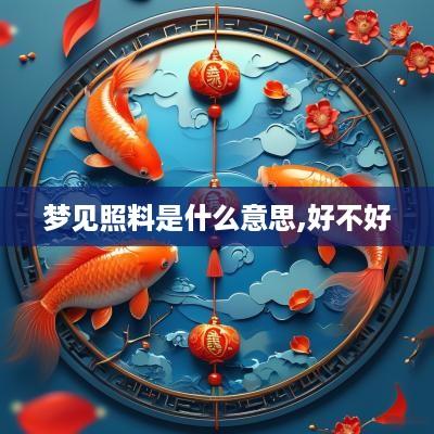 梦见照料是什么意思,好不好