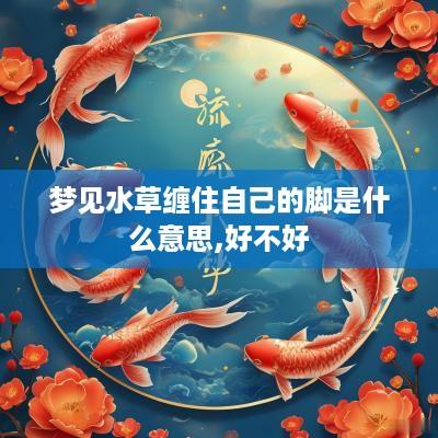 梦见水草缠住自己的脚是什么意思,好不好