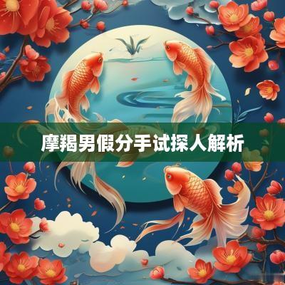 摩羯男假分手试探人解析