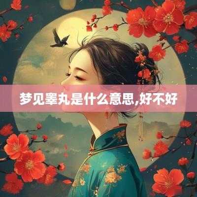 梦见睾丸是什么意思,好不好