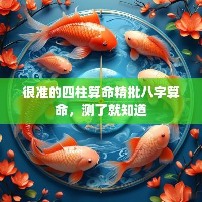 很准的四柱算命精批八字算命，测了就知道