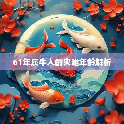 61年属牛人的灾难年龄解析
